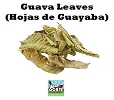Dried Guava Leaves, Hojas de Guayaba, Loose Guava Leaf Tea 2 oz and 4 oz
