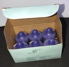 Lot of 6 Retired PartyLite Votive Candles Grape Raisin New in Box