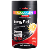 Massigen Energy Fuel Ciclodestrine Cluster Dextrin 450 Gr