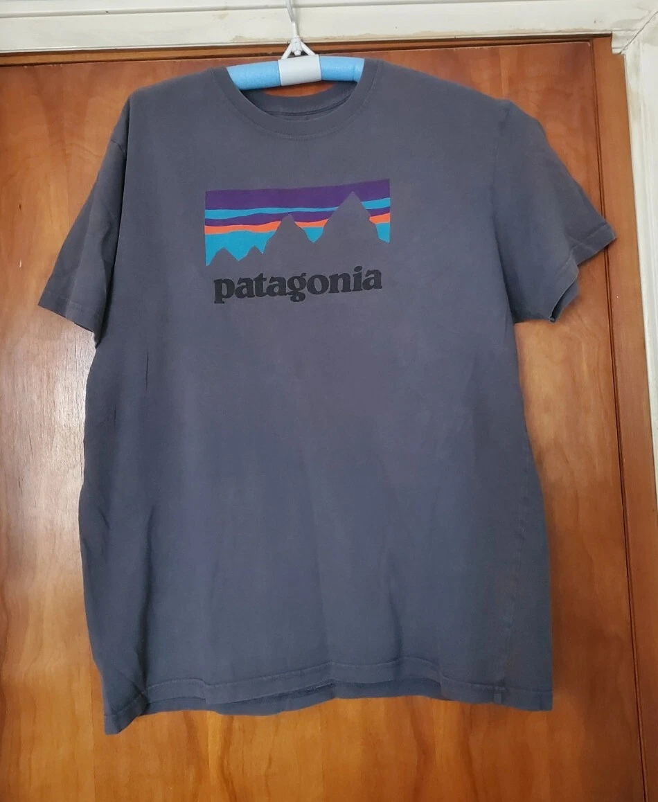 Patagonia T Shirt Mens Sz:L, Made In USA, 100% Organic Cotton. Mountain Logo