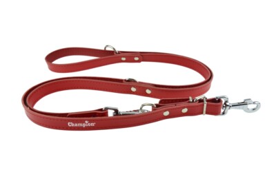 multi length dog lead