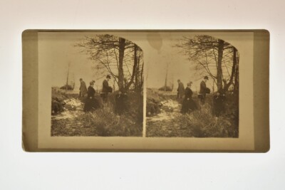 Stereo Albumin View on Cardboard, Forest Edge Photographer Session