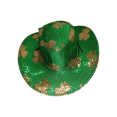 Celebrate! St Patrick display picture 2