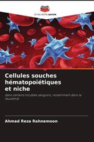 Ahmad Reza Rahnemoon | Cellules Souches HéMatopoïéTiqueset Niche | Taschenbuch