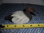 Vintage Hand Carved Canvasback Drake Duck Decoy Signed — photo 1