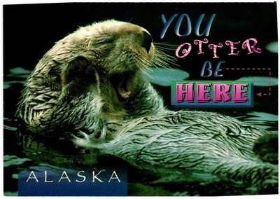 Postcard - Alaska - You Otter be Here.