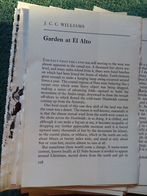 El87 Ephemera 1973 article garden at el alto j c c Williams 