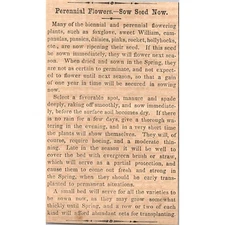 Perennial Flowers Sow Seed Now Flowering Plants 1859 New York Clipping SAH5-M7
