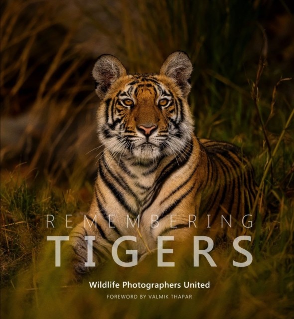 Remembering Tigers HARDBACK 9781999643386 - Image 3