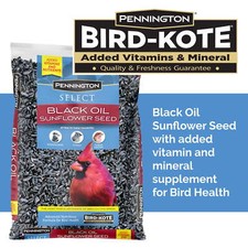 Black Oil Sunflower Seed Wild Bird Food, 10 lb Bag, New