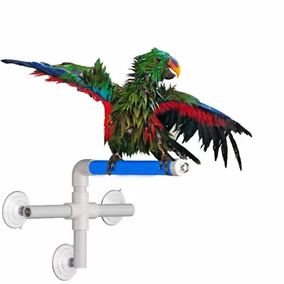 SUPER BIRD CREATIONS Fold Away Shower Window Perch For Parrots And Birds, Medium/Large Bird Size