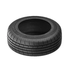 Fortune PERFECTUS FSR602 A/S 205/55R16 91V Tire