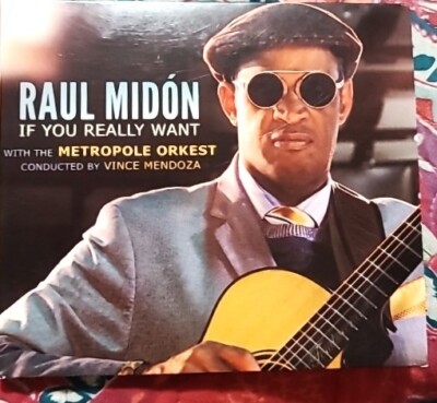 Raul Midon If You Really Want (CD) Album LIKE NEW