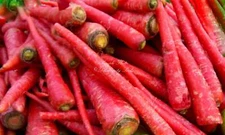 201+ATOMIC RED CARROT Seed Organic Heirloom Vegetable Garden Container Easy