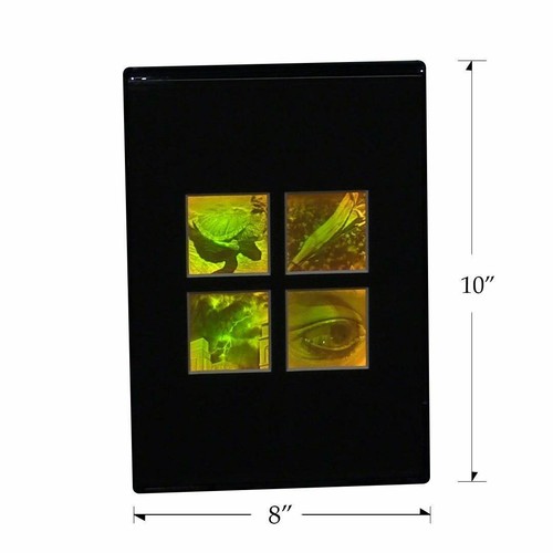 3D Nature 4-up 2-Channel Hologram Picture DESK STAND, Polaroid Photopolymer Film - Picture 4 of 7