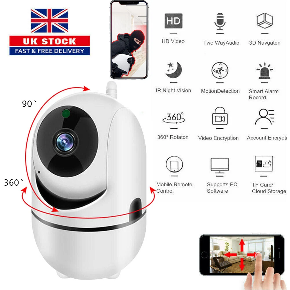 dog home video monitor