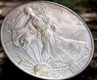 2000  SILVER EAGLE Coin- Starting to Show Color  Give it 10 Years If Ya Got Time