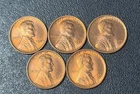 Lincoln Cent Lot BU Red 1923 25 26 28 34