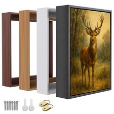 Floater Frame for 1.25 thick Canvas, Available in 25 size and 4 Color, Wood-...
