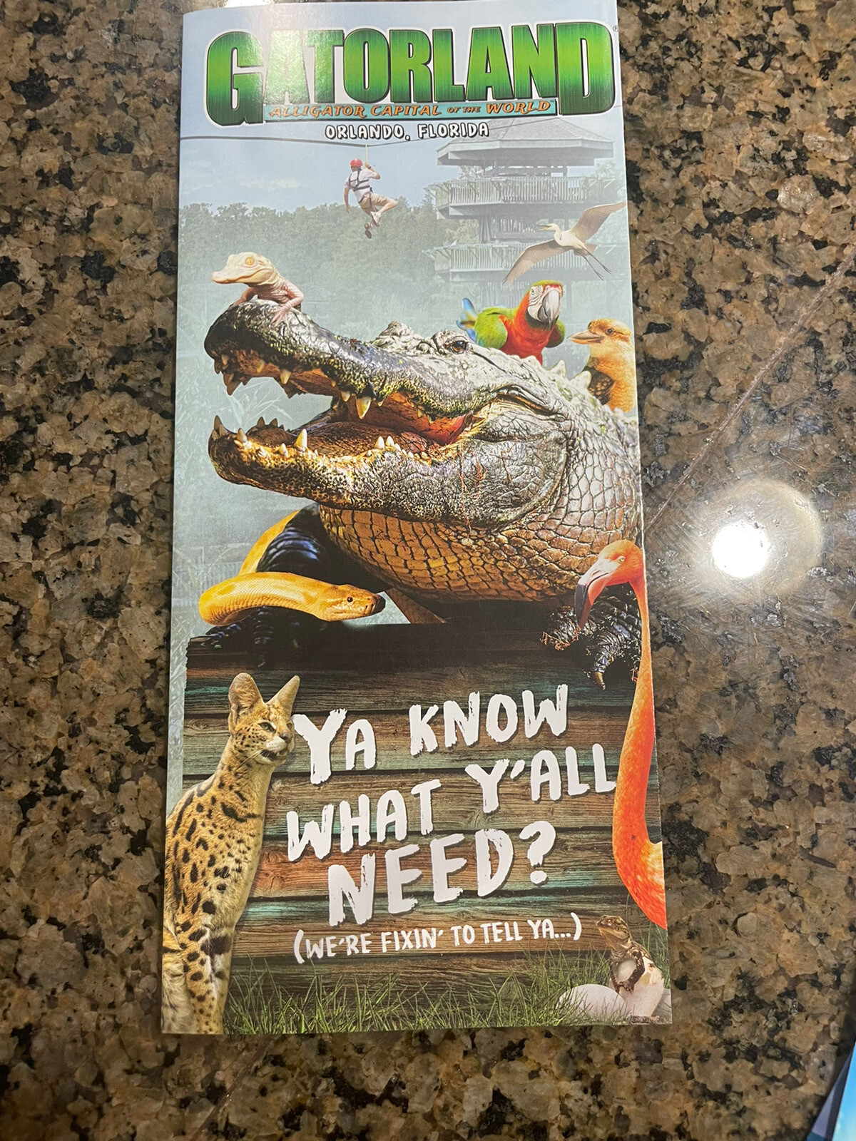 2022 Gatorland Zoo Orlando Kissimmee Florida Brochure Guide eBay