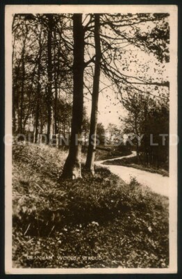 GRANHAM WOODS STROUD PHOTO PHOTO ANSICHTSKARTE
