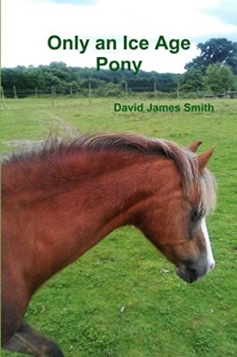 Only an Ice Age Pony by David James Smith (Paperback, 2016)