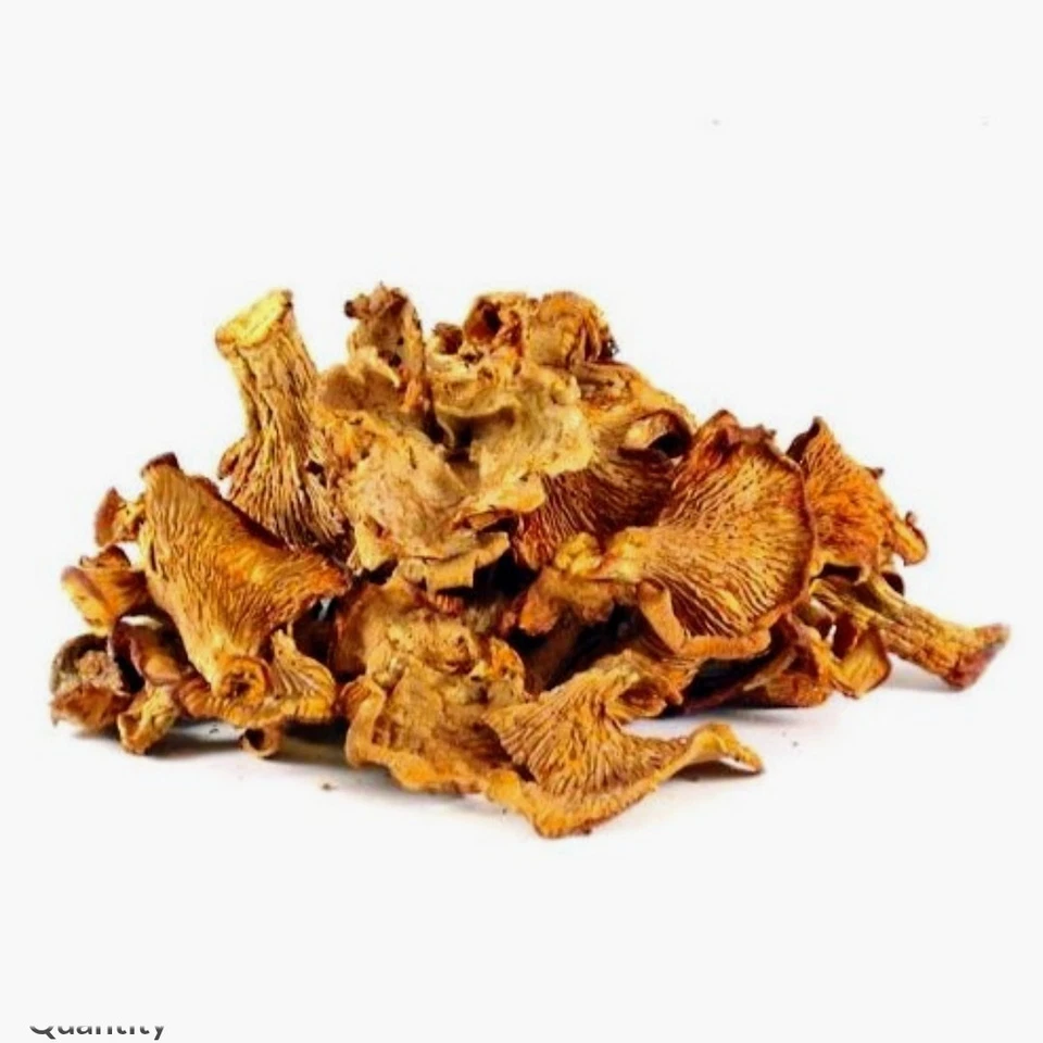 Dry Wild USA Chanterelle NUEVO 2025 cultivo - hongos orgánicos Oregon (2 oz) Foto 2 de 3