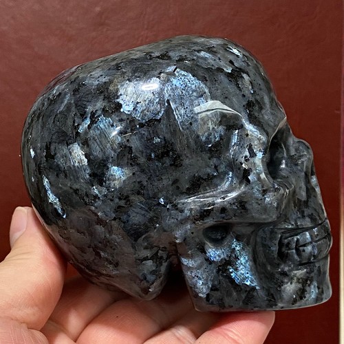 Natural Black Flash Skull Carving Reiki Crystal Quartz Decorate gift - 2.17LB - 第 8/14 張圖片