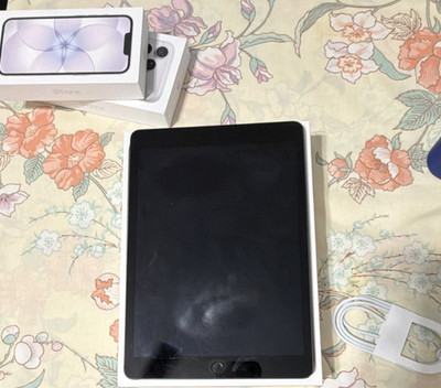 Apple iPad 10.2in 256GB Gray Wi Fi + 5G Tablet w/ Box (Used)