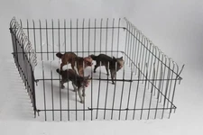 Wolf Zoo Elastolin Hausser Composition Toy (67160)