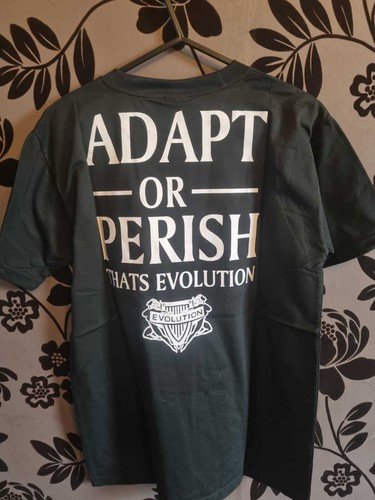 WWE Triple H, Evolution, Damien Sandow, The Dudley Boyz, Damien Mizdow T Shirt's - Picture 17 of 23