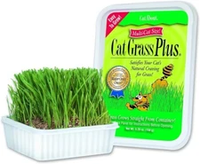 (2) Cat-A'bout Multi-Cat CatGrass Plus Tub 150g grams MiracleCorp/Gimborn (2 Pk)