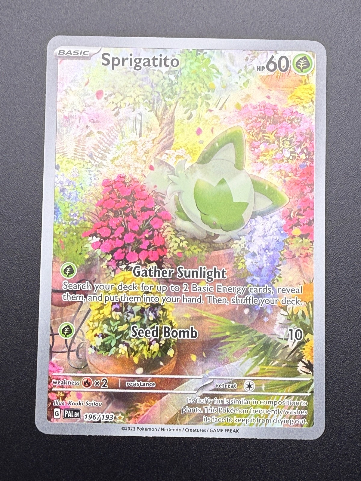 Sprigatito Illustration Rare SV02: Paldea Evolved 196/193 NM