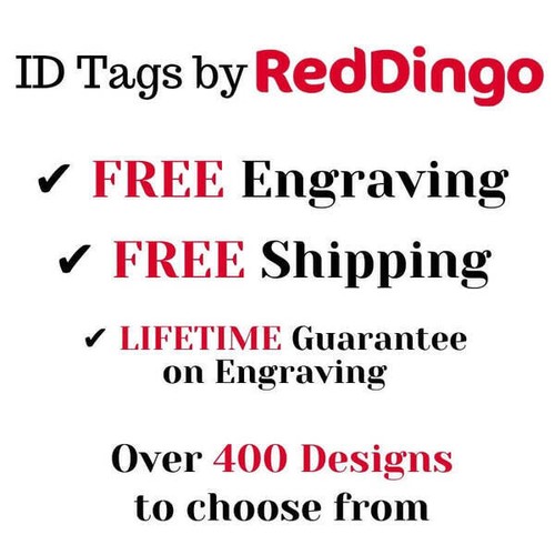 Red Dingo Glitter Paw Print Tag Red - Lifetime Guarantee - Cat, Dog, Pet ID Tag - Picture 2 of 5