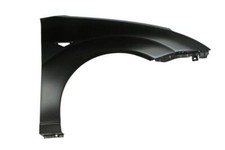BLIC 6504-04-2532314P Wing for FORD