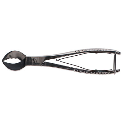 House Brand Dentistry 300160 HSB Dental Lab Plaster Nipper Instrument 8''