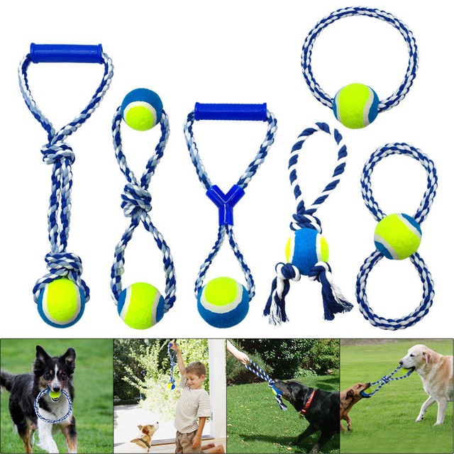 dog play rope