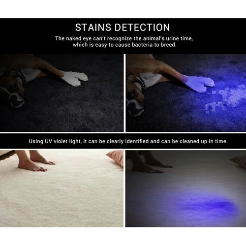 365nm Schwarzlicht 5m 10m UV LED Streifen licht UV Licht Haustier Urin Detektor - Bild 5 von 13