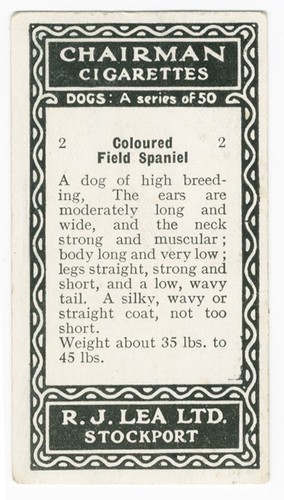 FIELD SPANIEL R J LEA CHAIRMAN CIGARETTES 1923 DOGS SERIES DOG CIGARETTE CARD #2 - Picture 2 of 2