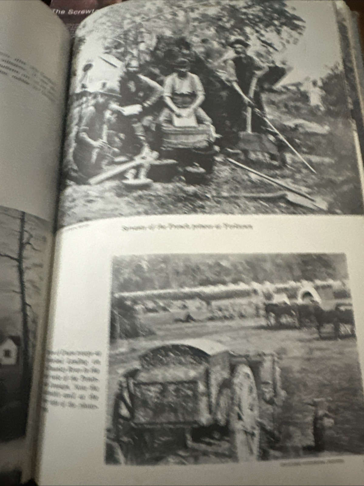 Picture 8 of 10