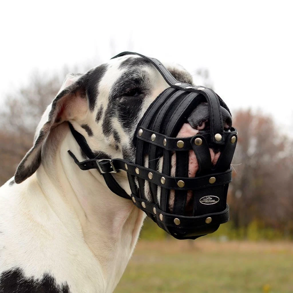 Basket muzzle for 2025 great dane