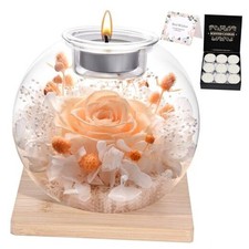 Valentines Day Birthday Gifts for Women Preserved Roses in Glass Dome Champagne