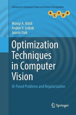 Optimization Techniques in Computer Vision: Ill-Posed Problems and Regularizatio