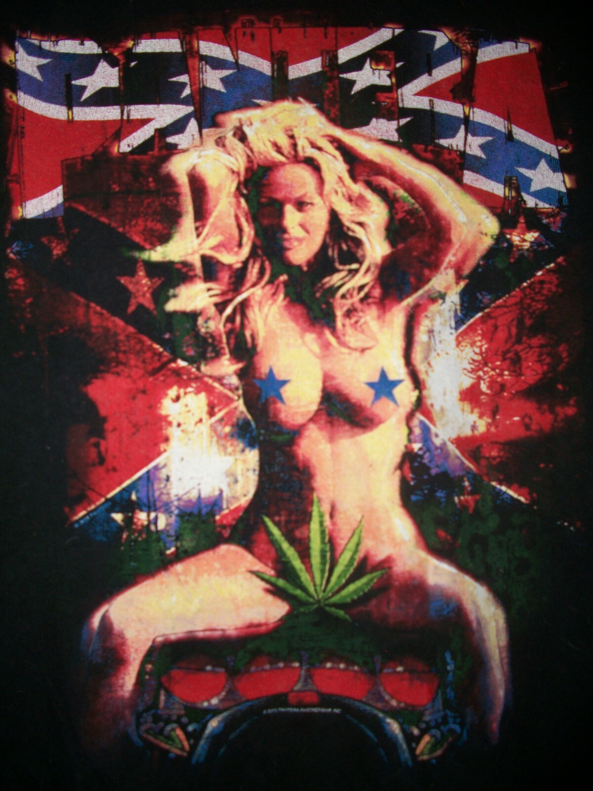 PANTERA -"RARE" WEED GIRL - image 2