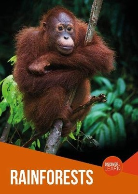 Rainforests (Discover and Learn),Joanna Brundle