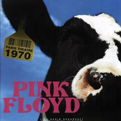   Pink Floyd   Live Radio Broadcast London 1970   LP   High Fidelity   NEW