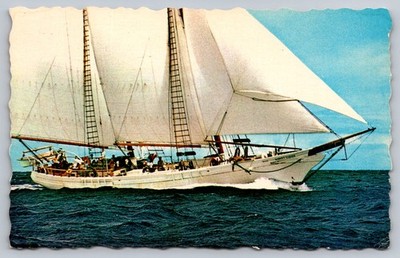 Harvey Gamage Schooner Maine Coast Sailboat Deckle Edge Postcard 1975