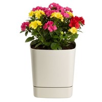 Howhomely Blumentopf Mit Untersetzer Pflanzentopf BlumenküBel Beige 19X19Cm Deko