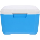 Picknickkorb isoliertes Lebensmittelbox Picknick -Lebensmittel mit Lagerkorb