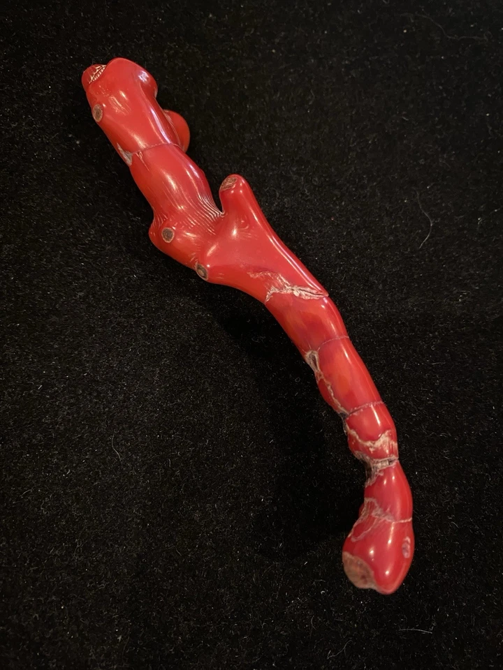 Qing натуральный красный коралл ученые щетка отдых частная коллекция - Изображение 2 из 4